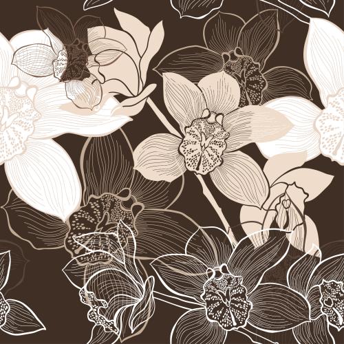 Orchid. Vector flowers orchids on brown