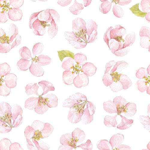 Raster image watercolor apple tree flowers on white