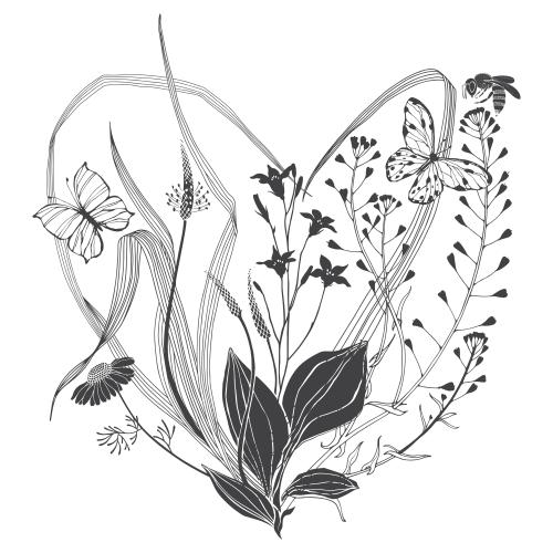 Vector image plantain, shepherd's purse, chamomile, bellflower, herbs, bee and butterflies on white, composition in the shape of a heart