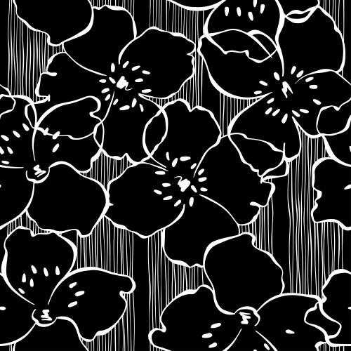 Jasmine. Vector jasmine flowers on black in white stripe
