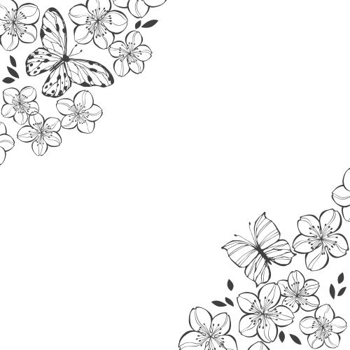 Sakura. Vector cherry blossom flowers and butterflies, space for text on white, corner composition