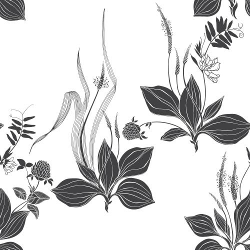Illustration plantain clover meadow herbs and flowers on white