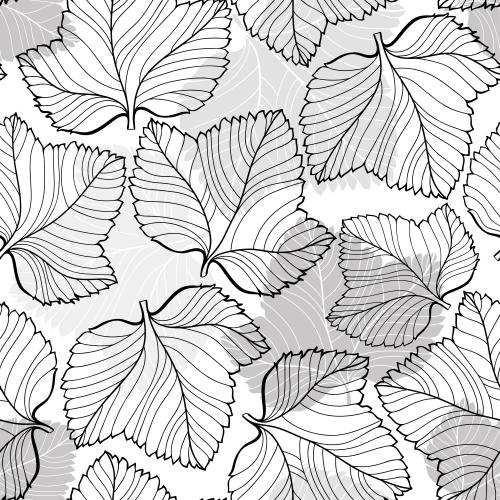Vector image lace contours and monochrome leaf silhouettes on white