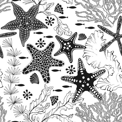 Vector image sea stars corals algae fish shells on white