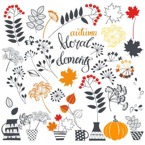 Dill. Vector autumn plant elements on white