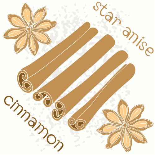 Cinnamon. Vector cinnamon sticks and star anise on light