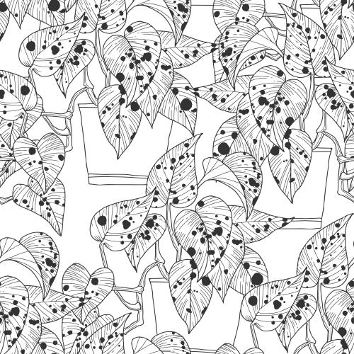 Vector image spotted indoor plants in pots on white