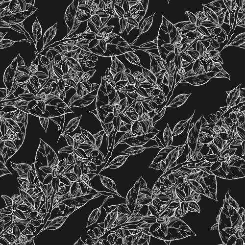 Vector image neroli white contours on black