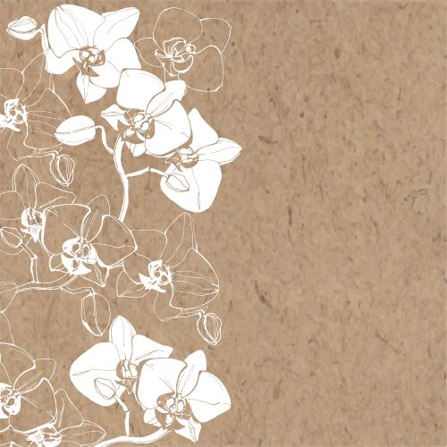 Orchid. Vector orchids white outlines and silhouettes space for text on craft