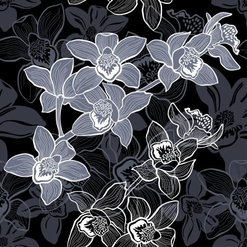 Orchid. Vector monochrome orchid flowers, contours and silhouettes on black