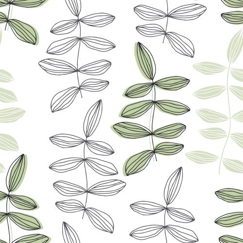Illustration plants, contours and silhouettes on white