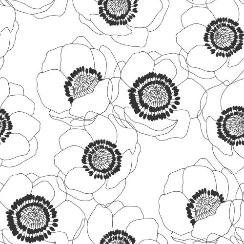 Anemone. Vector anemones on white