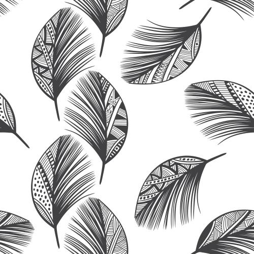 Feather. Vector fantasy black feathers on white