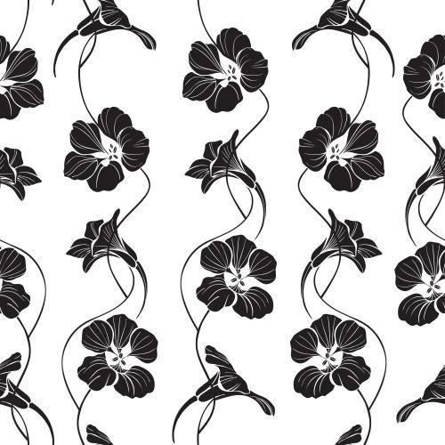 Nasturtium. Vector silhouettes of nasturtium flowers on white