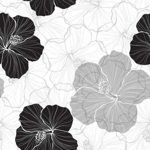 Hibiscus. Vector monochrome silhouettes and contours of hibiscus flowers on white