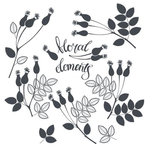 Object. Vector dog rose black silhouettes on white