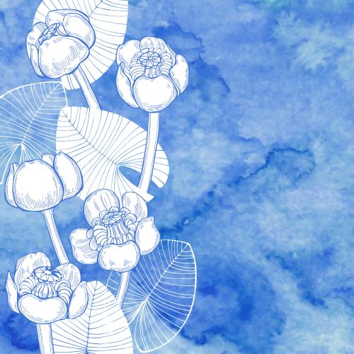 Floral. Vector water lilies and leaves space for text on a blue watercolor