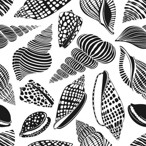 Illustration shells black silhouettes on white