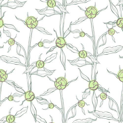Bud. Vector peony branches with buds on white