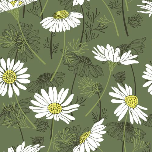 Vector image daisies on green