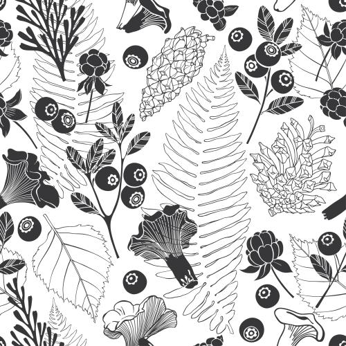 Cloudberry. Vector plant leaves, blueberry, cloudberry, orange funnels, cones on white
