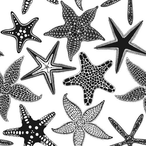 Vector image sea stars on white