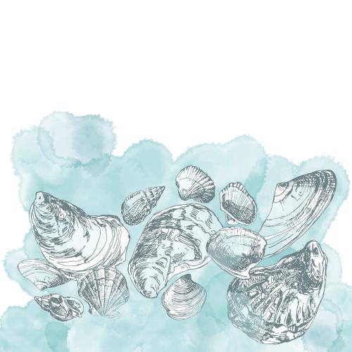 Vector image shells on a blue watercolor fragment, space for text on white