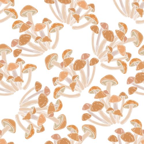 Mushroom. Vector pores, colorful silhouettes on white