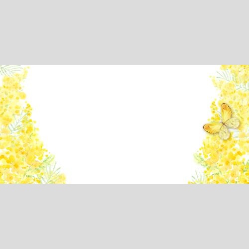 Raster image watercolor mimosa, butterfly, space for text on white
