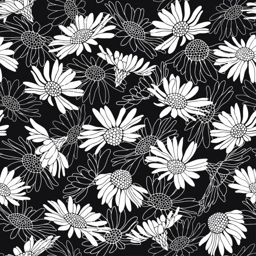 Chamomile. Vector daisies white contours and silhouettes on black