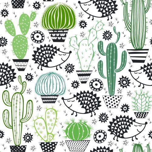 Cactus. Vector cute cartoonish hedgehogs colorful cacti in pots decorative elements on white