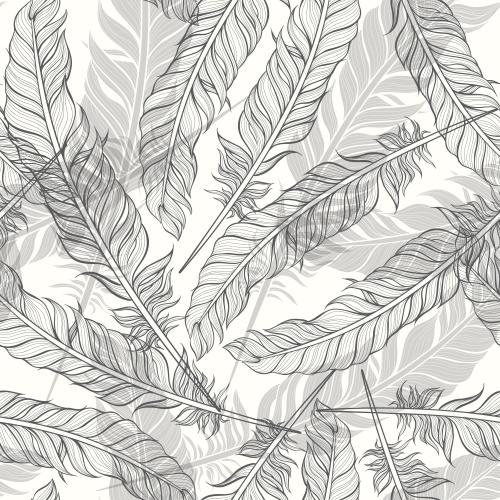 Feather. Vector monochrome feathers, silhouettes and contours on white