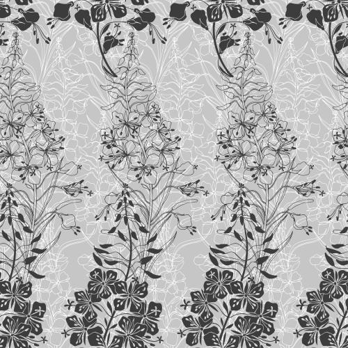 Fireweed. Vector mallow ivan's tea silhouettes and contours on gray