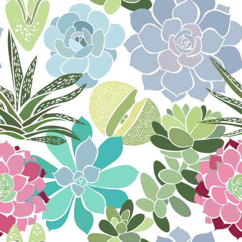 Succulent. Vector colorful succulent silhouettes on white