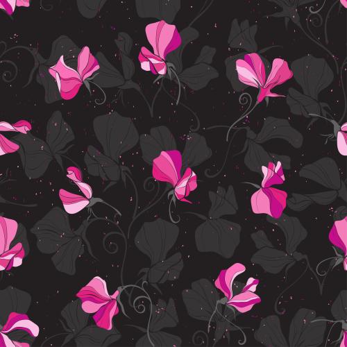 Sweet pea. Vector fragrant pea on black