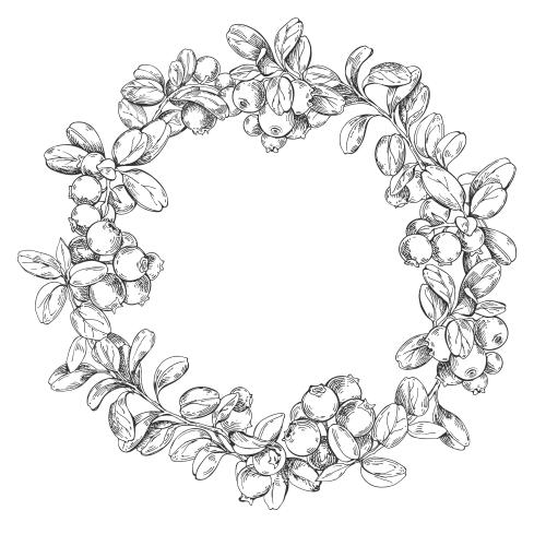 Vector image round wreath-frame of blueberry branches on white
