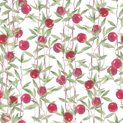 Raster image watercolor cranberry branches with berries on white