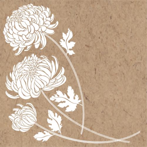 Chrysanthemum. Vector three chrysanthemums white silhouettes and a place for text on craft
