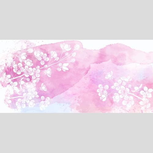 Apricot. Vector blooming apricot branches, white silhouettes on watercolor