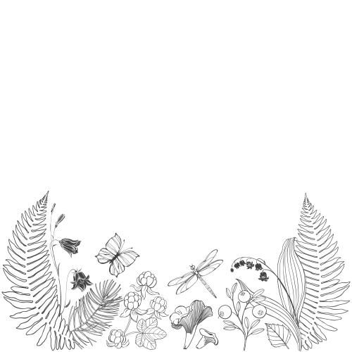Cranberry. Vector fern leaves
