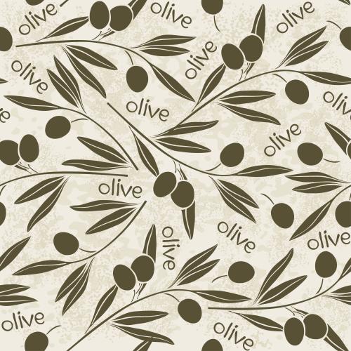 Olivaceous. Vector silhouettes of olive branches with fruits, olive inscription on textured light