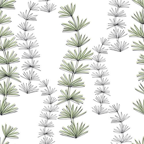 Underwater plant. Vector Pattern sea algae contours and silhouettes on white
