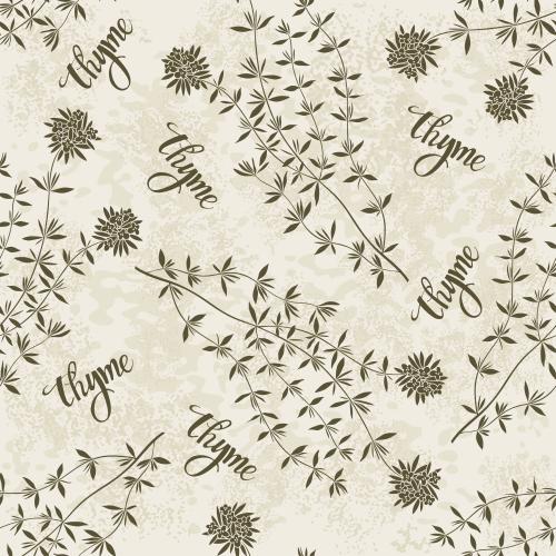Vector image thyme, thyme inscriptions on light textured