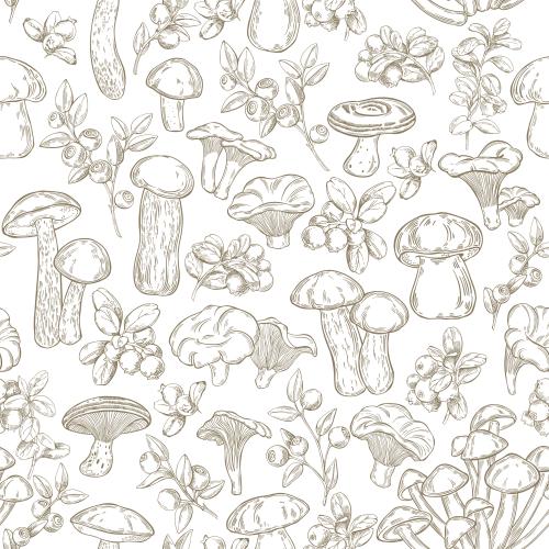 Vector image monochrome white mushrooms birch boletes chanterelles boletes oyster mushrooms saffron milk caps branches of blueberries and cranberries