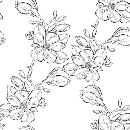 Magnolia. Vector magnolia contour flowers on white