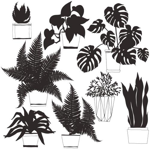 Cactus. Vector indoor plants in pots, various silhouettes on white