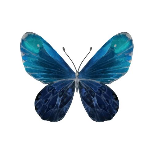 Raster image watercolor butterfly in blue tones on white