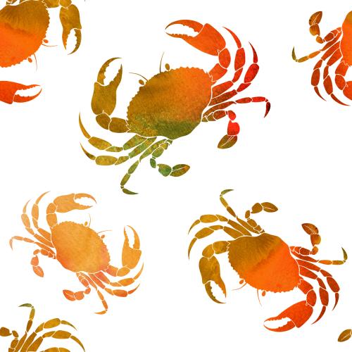 Crab. Vector watercolor crabs on white