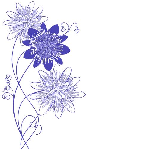 Passionflower. Vector passion flower, purple silhouettes and contours, space for text on white