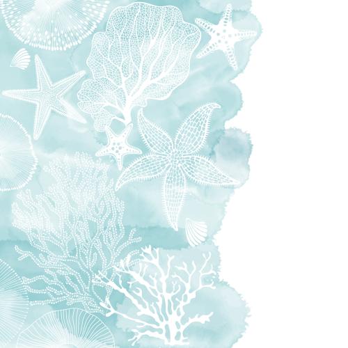 Illustration sea stars corals algae and shells on blue watercolor space for text on white